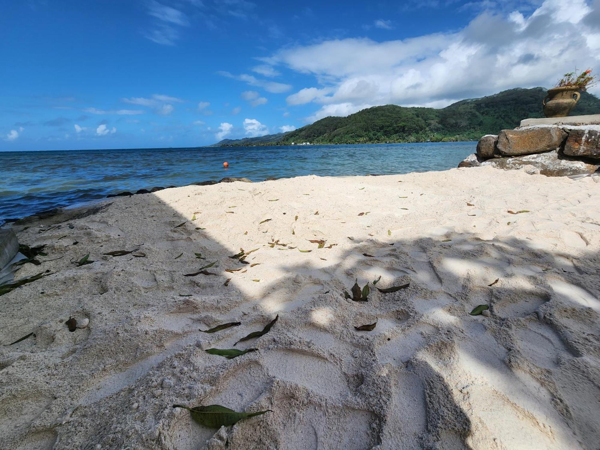 Duplex En Bord De Mer Fare Tahitea Pension Taputapuapea Dış mekan fotoğraf